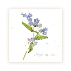 GEN02 Forget Me Nots