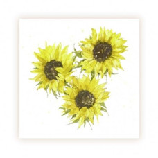 GEN03 Sunflowers