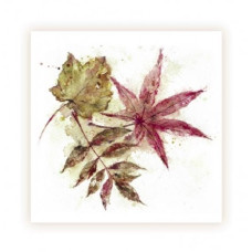 GEN08 Autumn Leaves